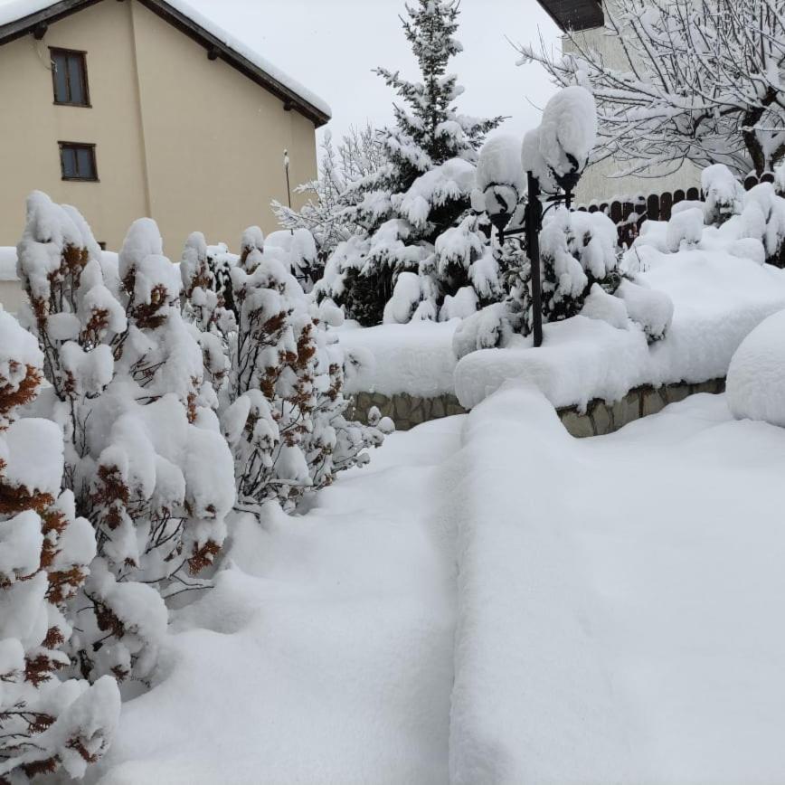 Guest House Ela Bansko Bagian luar foto