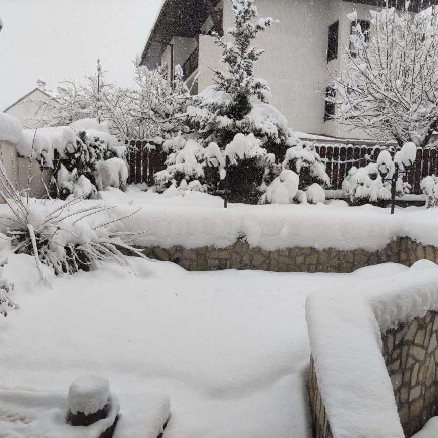 Guest House Ela Bansko Bagian luar foto